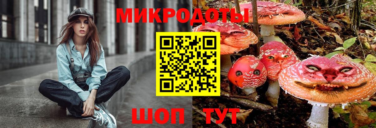 Псилоцибиновые грибы Cubensis Иваново